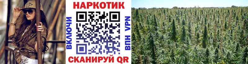 Наркотические вещества Закаменск А ПВП МЕФ ГАШИШ MDMA Бошки Шишки